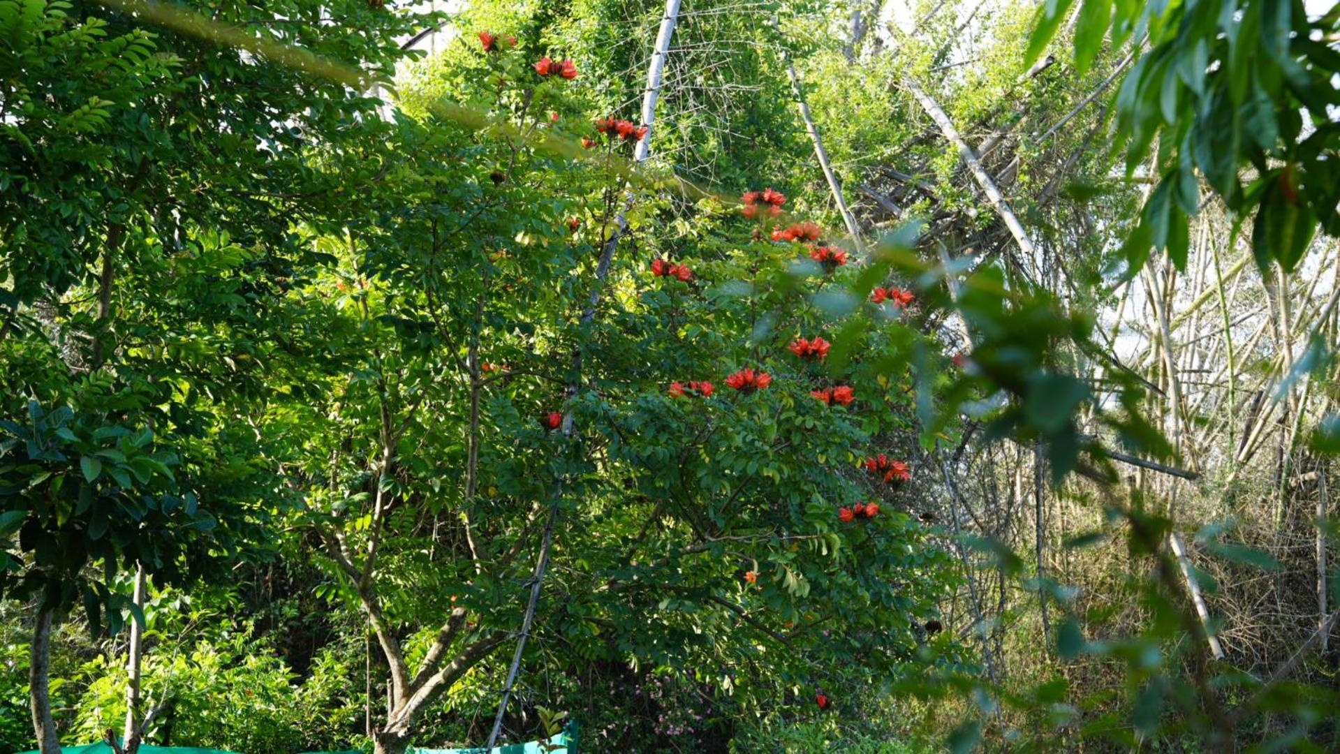 Вилла The Deer Meadows Мудумалай Экстерьер фото